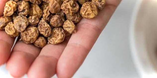 Чуфа (земляний горіх) фото, посадка, вирощування, користь та шкода мигдалю