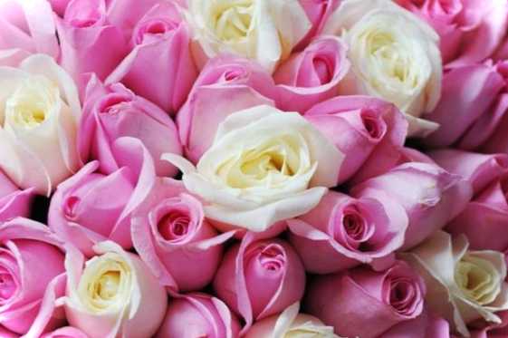 Свіжі квіти з доставкою на найвигідніших умовах