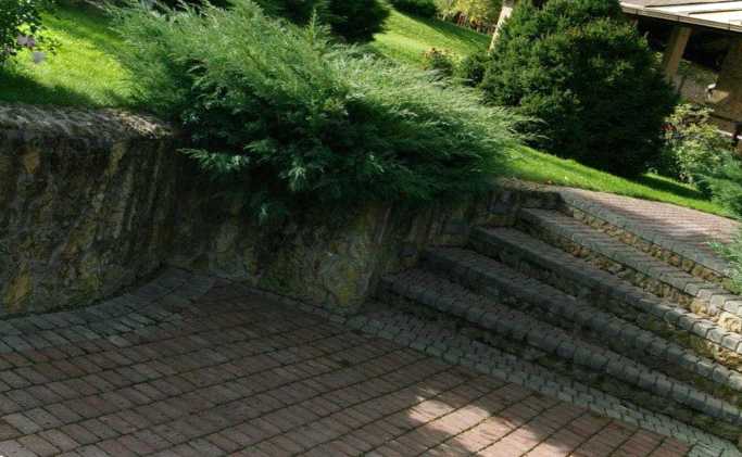 Як зміцнити яр на дачній ділянці і зробити з нього чудовий ставок