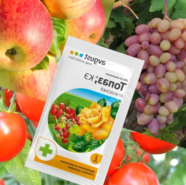 Topaz Ke від хвороб рослин - інструкції щодо правильного використання продукту