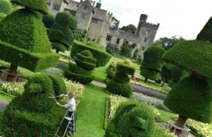 Зелені садові скульптури як називаються, як зробити своїми руками