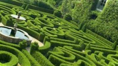 Як зробити своїми руками Лабіринт з кущів рослин у саду