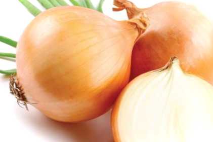 Шкідники цибулі - тютюновий трипс, моль, кліщ та боротьба з ними