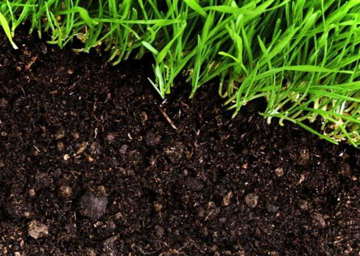 Цікаві факти про ґрунт звідки виникла і для чого потрібна