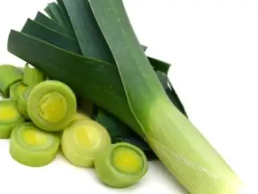 Цибуля порей чому такий дорогий, фото на грядці, ранньостиглі сорти