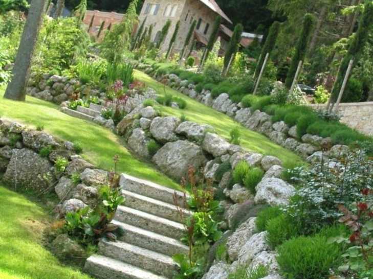 Ваша ділянка не рівна? Посадіть рослини, що зміцнюють схили, яри, укоси