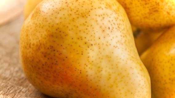 Як підрізати грушу і коли це робити основні правила та корисні поради