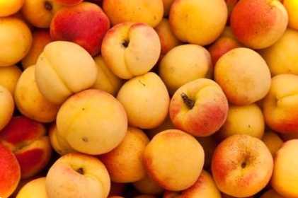 Сорта абрикоса Зевс, Гвіані та інші рейтинг найбільших, опис, фото