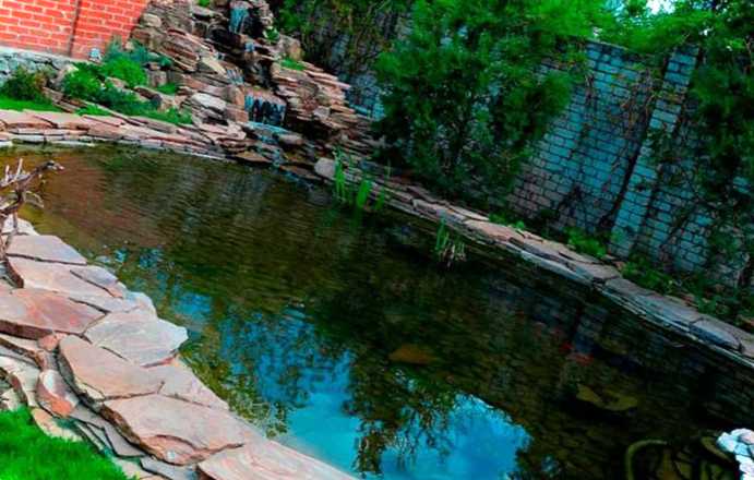 Сучасне оформлення декоративного ставка. Як облаштувати домашній ставок?