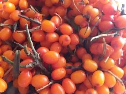 Варення з обліпихи на зиму. Рецепти варення обліпихи