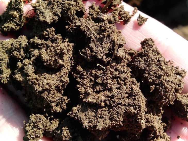 Як зберегти вологу в ґрунті прийоми накопичення та утримання вологи