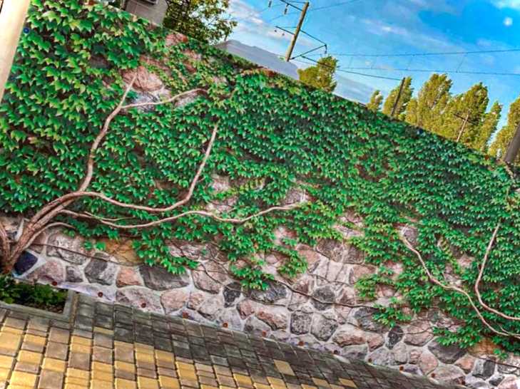 Фотосітка на паркан для дачі незвичайні рішення для огорожі