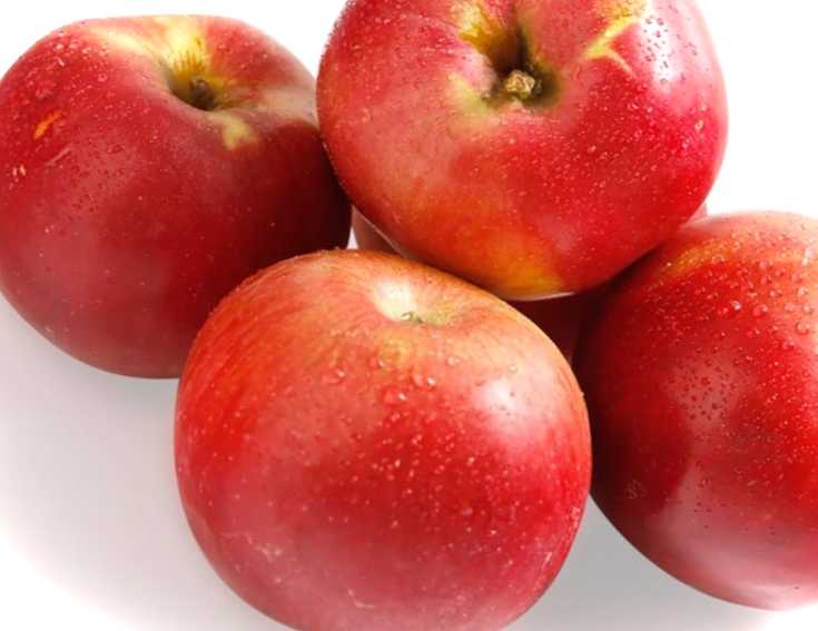Темні плями на яблуках, що це за хвороба і як це лікувати