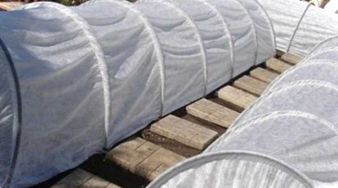 Сучасні парники які бувають, скільки коштують і який вибрати?