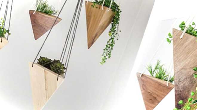 Квіти в підвісних горщиках які рослини можна посадити у підвісне кашло