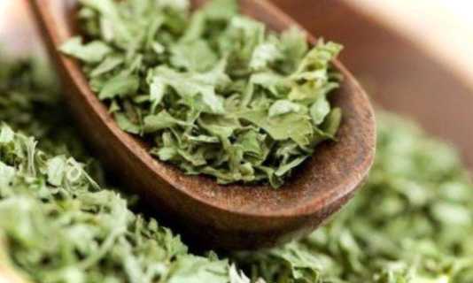 Як заготовити зелень на зиму?