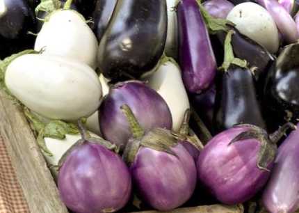 Баклажани в духовці цілі і шматочками скільки часу готувати для ПП салату, рецепт