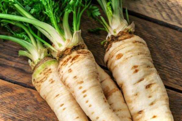 Коренева петрушка на зиму – як її зберігати, щоб не зіпсувалася?