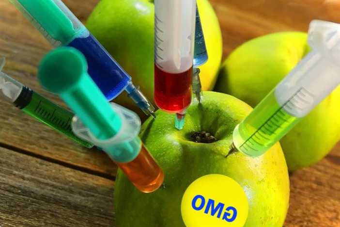 Генномодифіковані (ГМО) продукти за та проти, чи є шкода