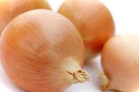 Цибуля «Фермер» опис та характеристика сорту, таблиця сезонності