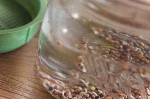 Метод барботування визначення, види, інструкція із застосування