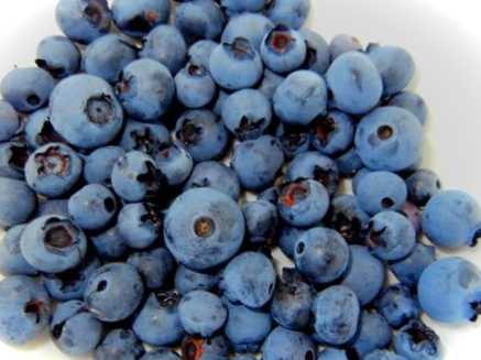 Розмноження лохини садової зеленими живцями і поділом куща в домашніх умовах