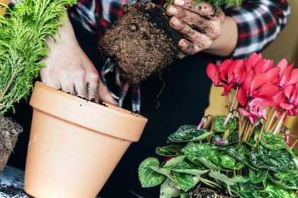 Енерген Аква - інструкція із застосування засобу в капсулах
