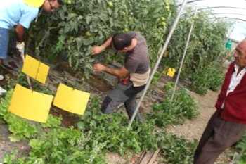 Як відкрити екоферму з нуля проект екогосподарства «Вдалий-врожай»