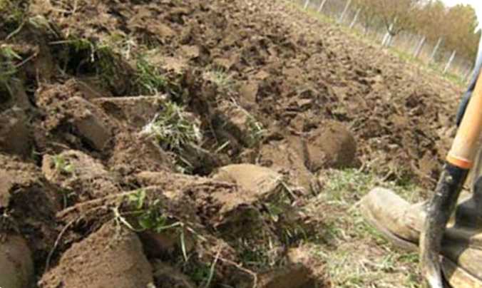 Як правильно копати город вручну лопатою скільки разів і коли