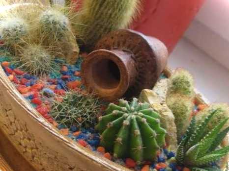 Оформляємо композицію або як красиво посадити кактуси в одному горщику