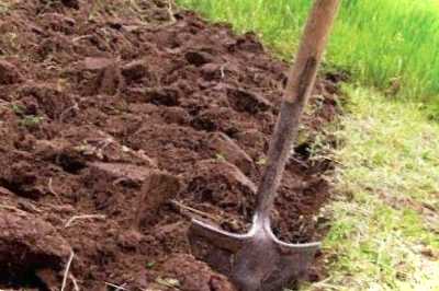 Як скопати цілину на дачі і який мотоблок для цього вибрати?