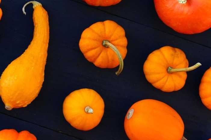 Що посіяти після збирання картоплі? Чи можна садити капусту та огірки?