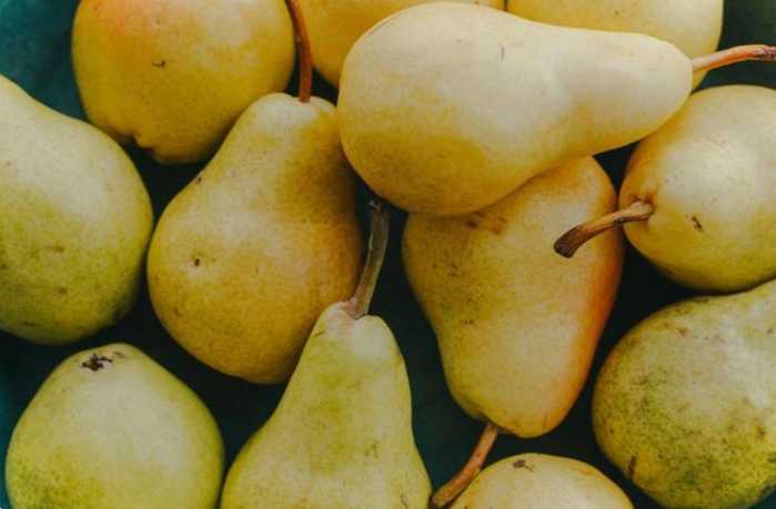 Добірка ефективних методів боротьби з іржею на груші