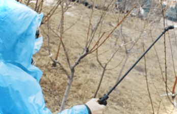 Бордоська рідина, як розводити, інструкція із застосування