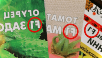 Що означає F1 на пакетику з насінням? Відмінність гібридів від сортів