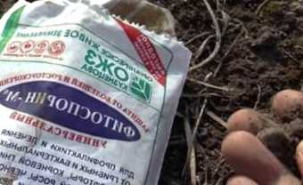 Фітоспорин - як не допустити помилок при застосуванні