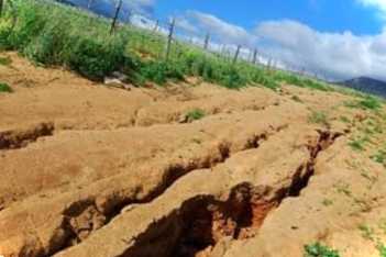 Як покращити глинистий ґрунт на ділянці?