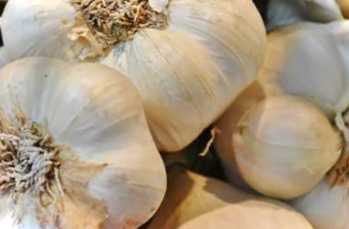 Як зберігати часник на зиму в домашніх умовах, щоб не висохти