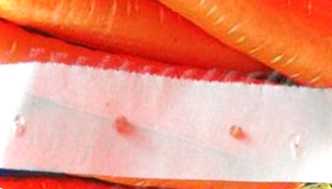 Як зробити насіння на стрічці своїми руками - швидко та просто