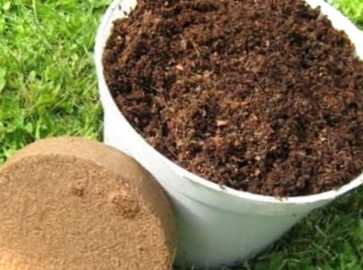 Кокосовий субстрат для рослин – що це, для чого потрібен і як застосовувати