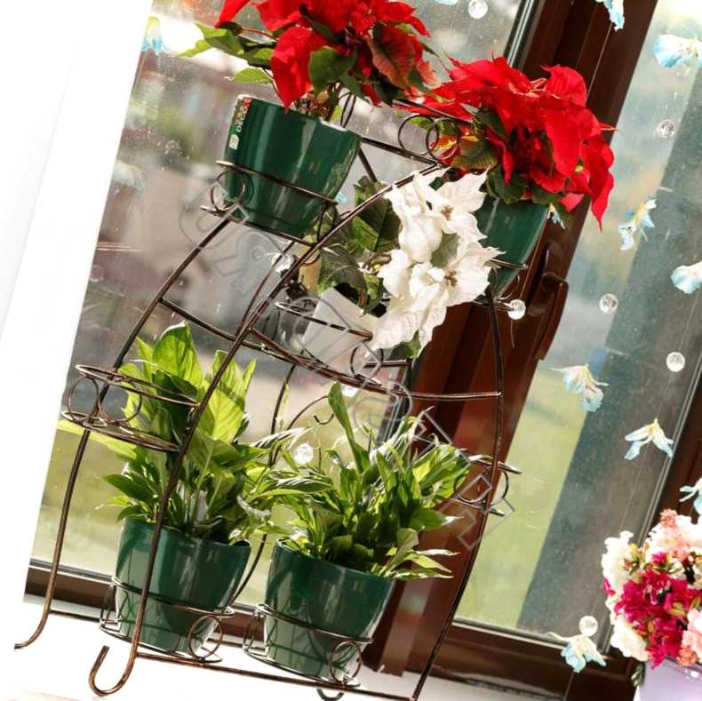 Як розмістити квіти на підвіконні ідеї, фото, рекомендації