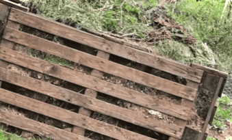 Як приготувати компост на грядці, у ящику, у мішках без особливих витрат