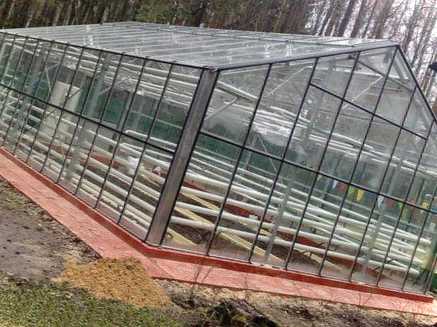 Що таке теплиця її необхідність для кожного власника дачі