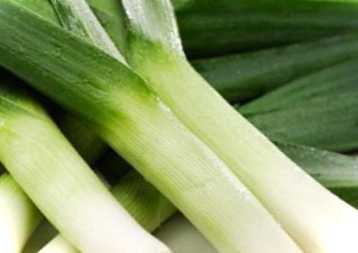 Як правильно виростити цибулю з насіння. 2 способи вирощування