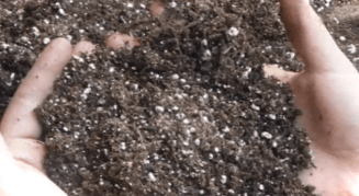 4 простих та ефективних способів знезараження ґрунту для розсади