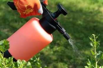 Філоверм - Властивості, переваги, використання в саду, саду, для критий рослин