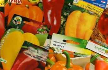 Які купити насіння перців для розсади - що краще вибрати?