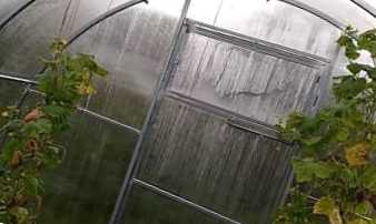 Підготовка теплиці до зими восени