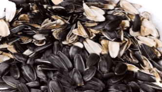 Лушпиння від насіння на городі - користь або шкода