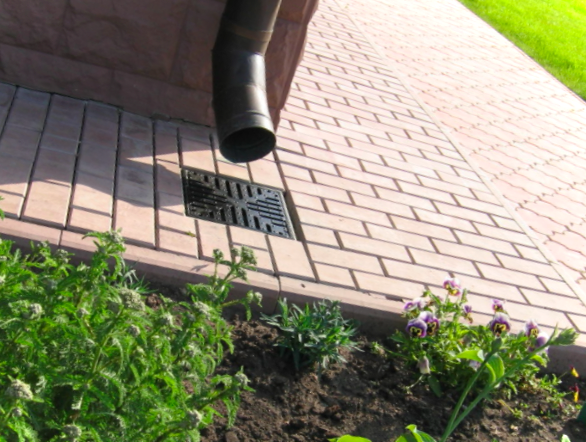 Чим прикрасити вимощення бетонну навколо будинку і чи варто це робити